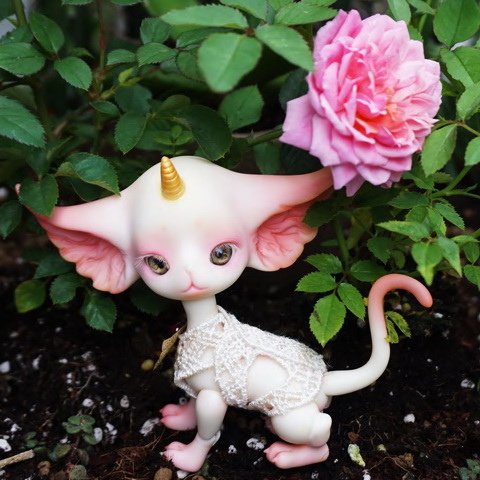 玫瑰與獨角貓