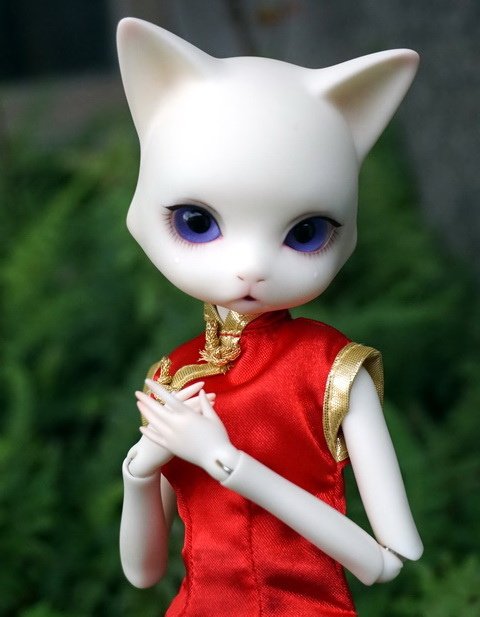 性感旗袍喵女