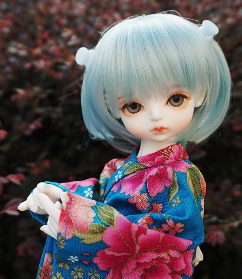 和服佳人 &amp; 日式點心