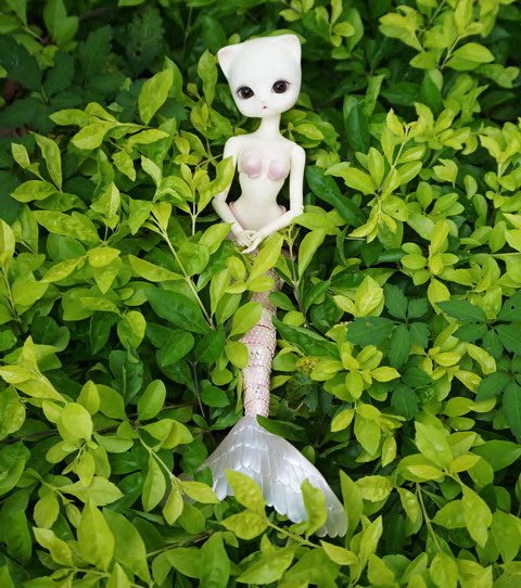 人魚喵