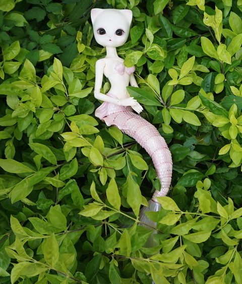 人魚喵