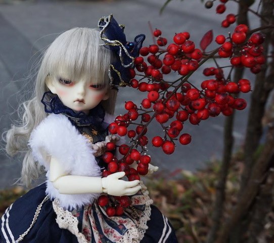 聖誕贈禮