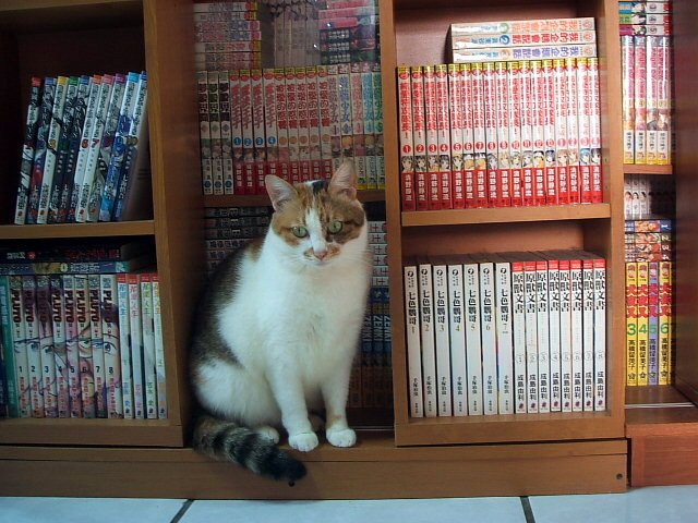 樂樂守書櫃