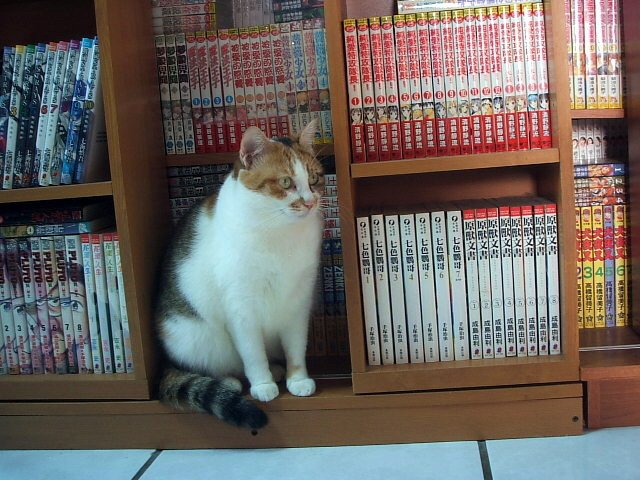樂樂守書櫃