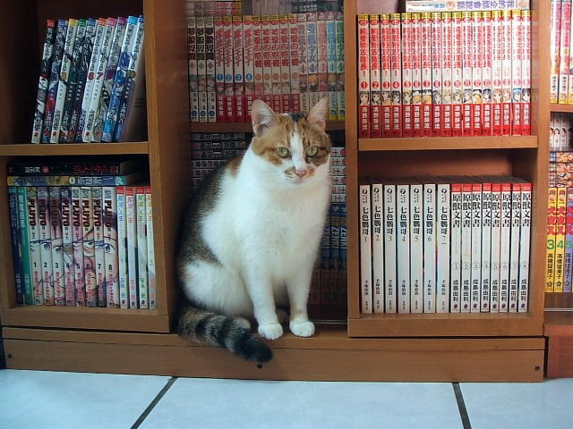 樂樂守書櫃