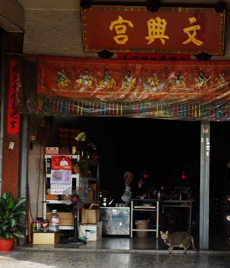 240421廟貓 %26; 廟狗 (4).JPG