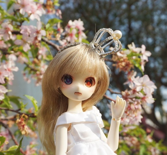 櫻花新娘