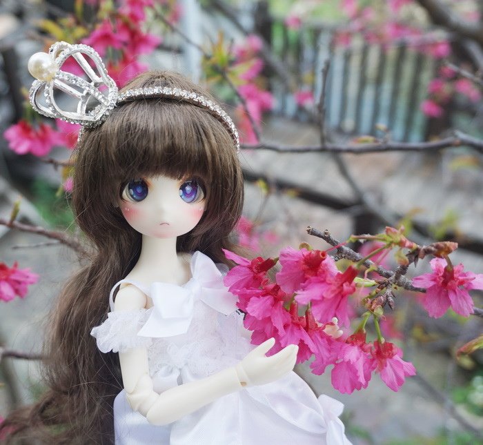櫻花新娘