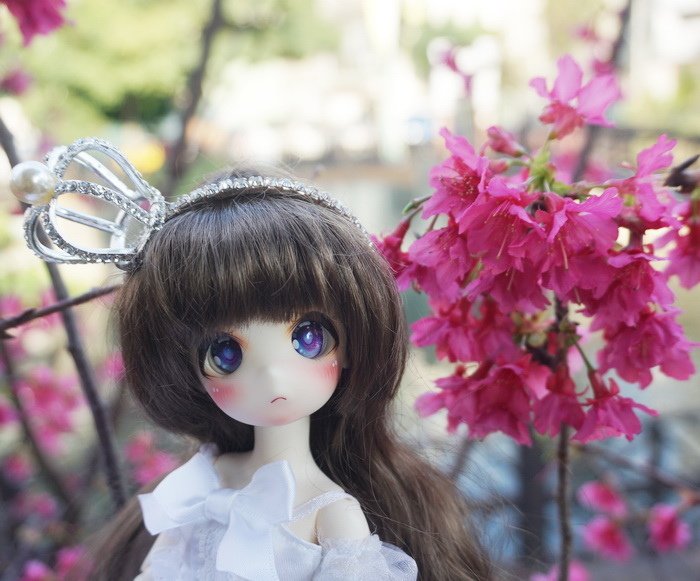 櫻花新娘