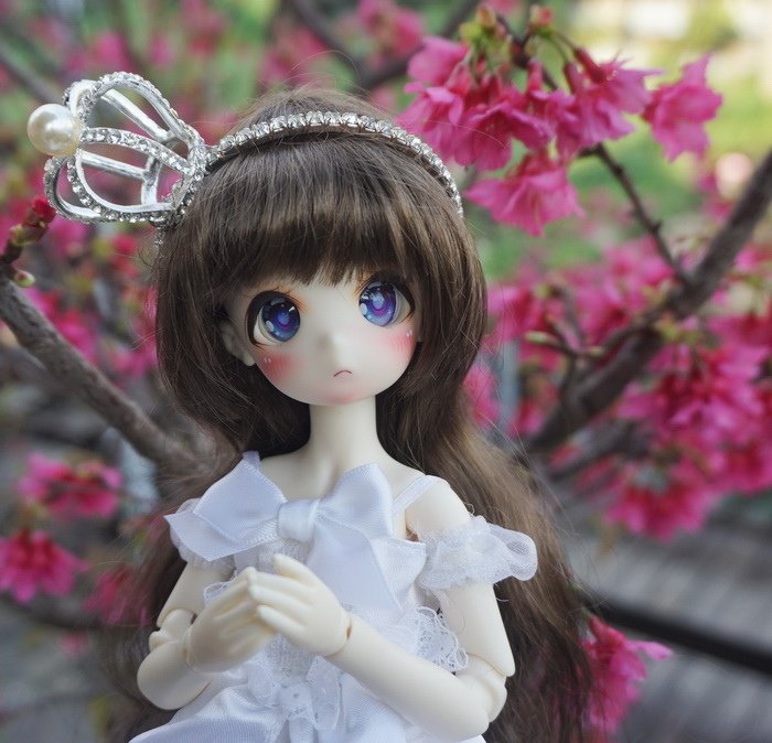 櫻花新娘