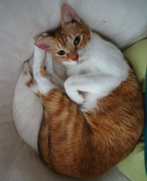 丹丹生氣了