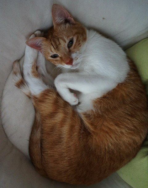 丹丹生氣了