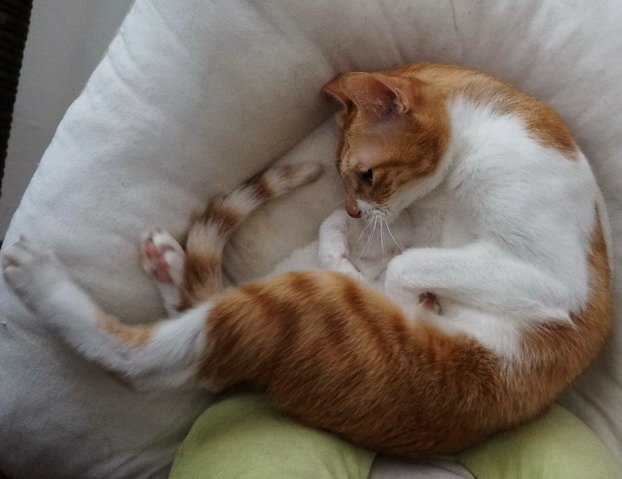 丹丹生氣了