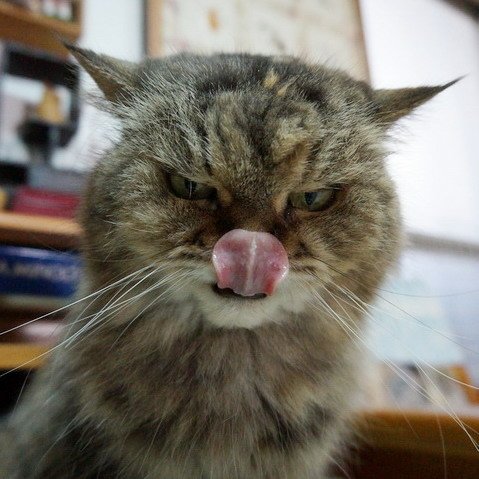 QQ回味無窮