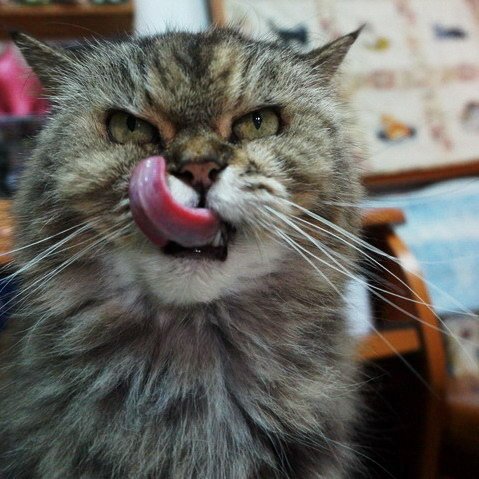 QQ回味無窮