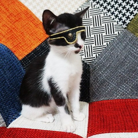 獨眼歪歪