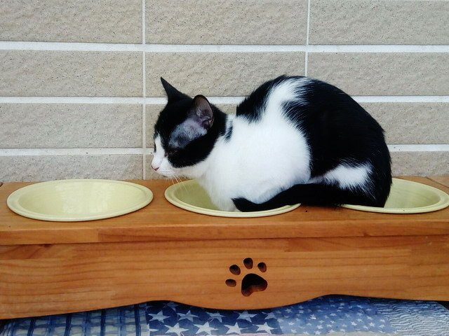 歪歪長大了
