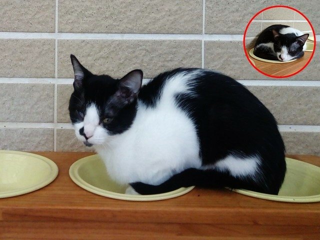 歪歪長大了