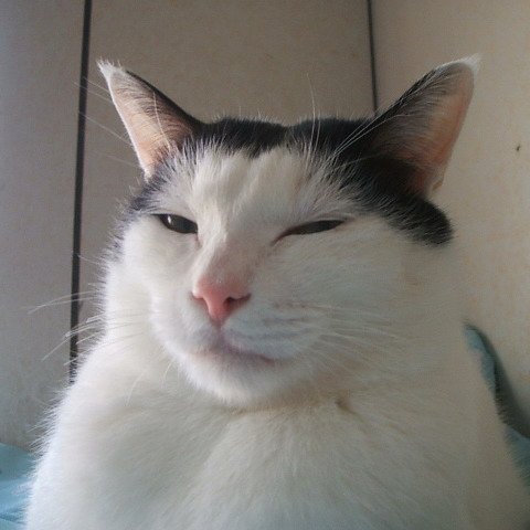 昏昏欲睡的弟弟