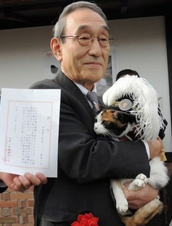 日本「貓站長」小玉服務滿6週年　升任副社長