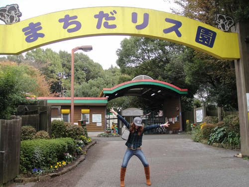 實現被松鼠包圍的夢想《町田松鼠園》