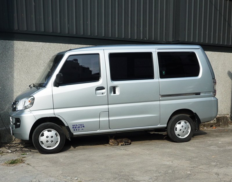 車底下的避暑貓