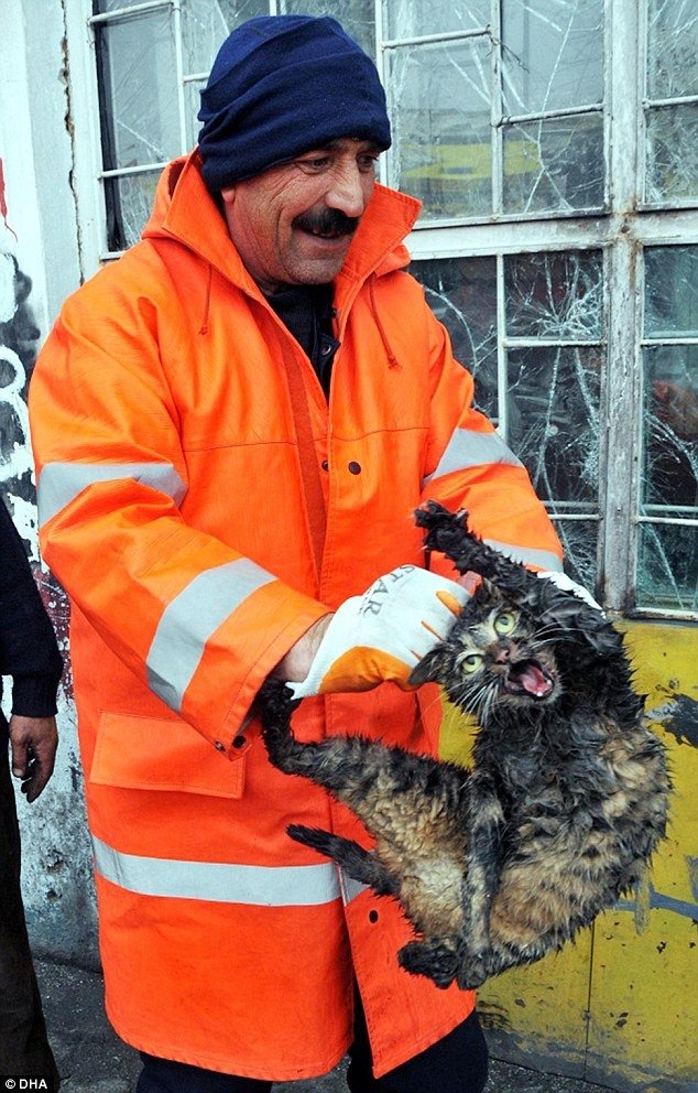 「幹嘛抓我？」土國消防員拆車救出貓　猙獰表情超有事