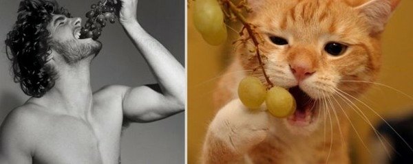 型男VS.喵喵
