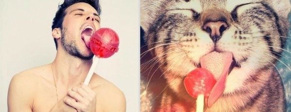 型男VS.喵喵