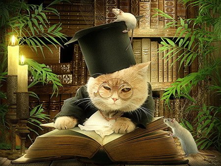 寵物變身高級伴讀書僮 知書達禮的小動物照片合輯