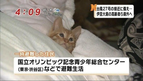 颱風中的避難居民因為太可愛因而引發話題