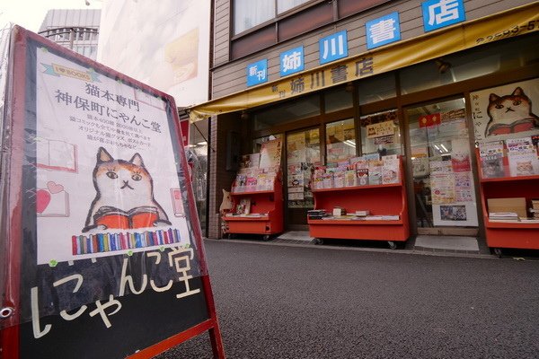【東京神保町】書店裡的貓咪書店－喵咪堂