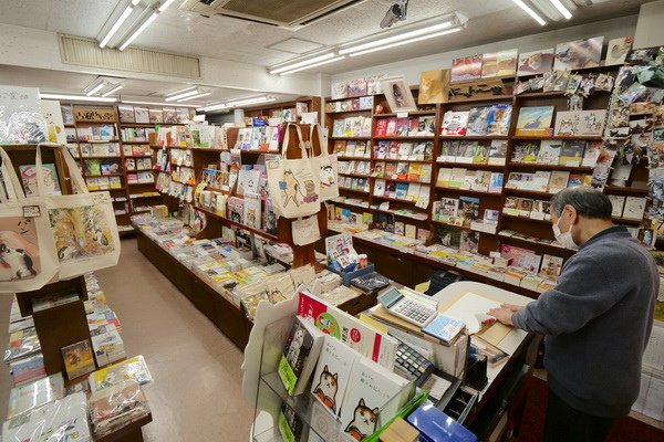 【東京神保町】書店裡的貓咪書店－喵咪堂