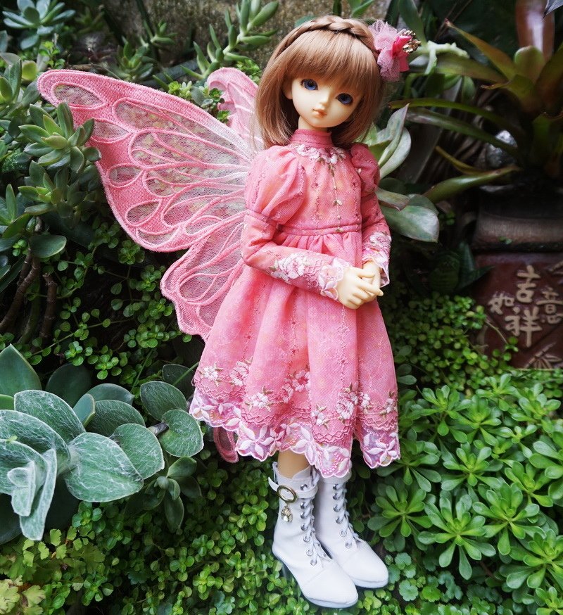 蝴蝶精靈 ‧ 雙子姊妹