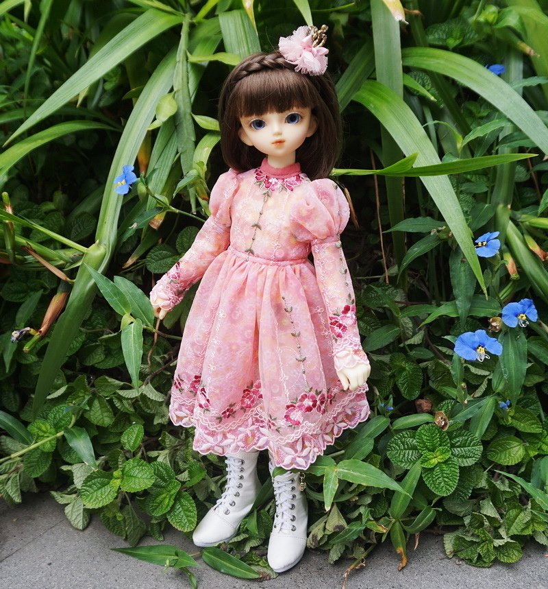 蝴蝶精靈 ‧ 雙子姊妹