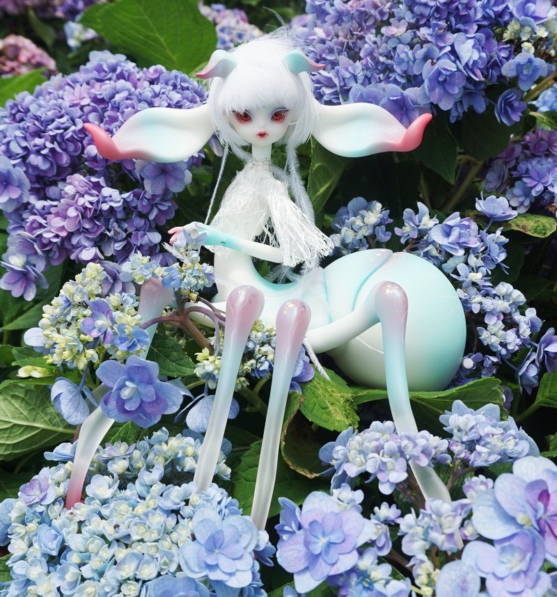 繡球花叢中的蜘蛛精