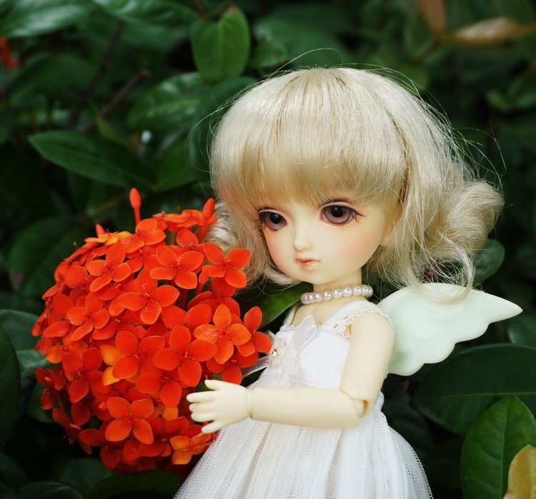 美艷天使與小天使們