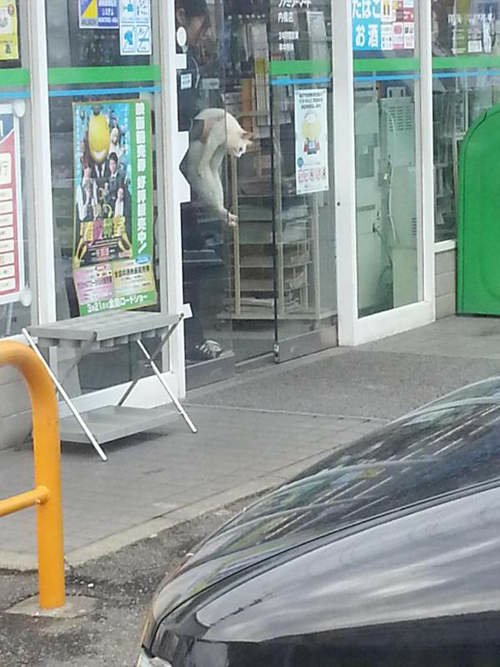 日本《便利商店的看門貓》搶劫不要動～交出貓罐頭