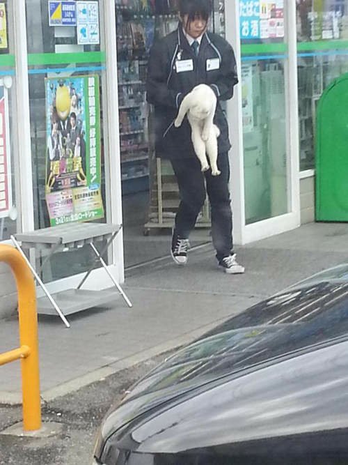 日本《便利商店的看門貓》搶劫不要動～交出貓罐頭