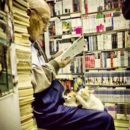 「快來花錢買我的臭臉」 帶你翻開不務正業的店貓花名冊