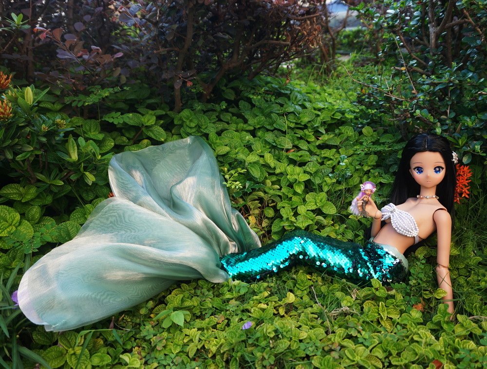 黑美人魚