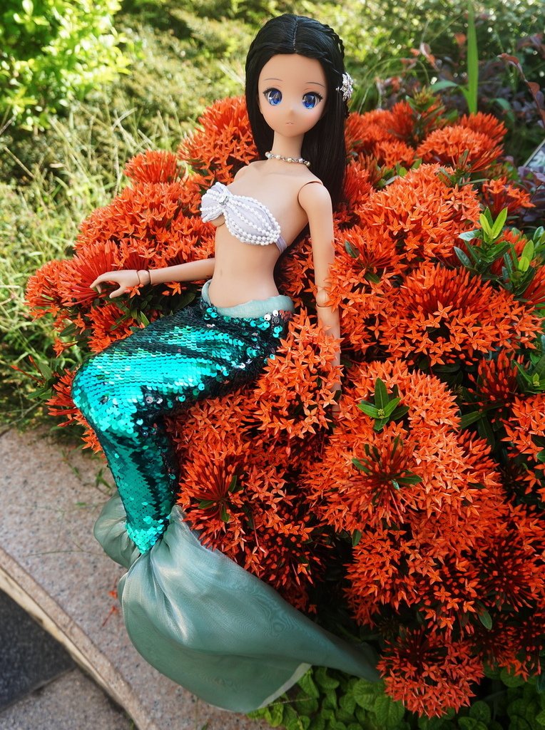 黑美人魚
