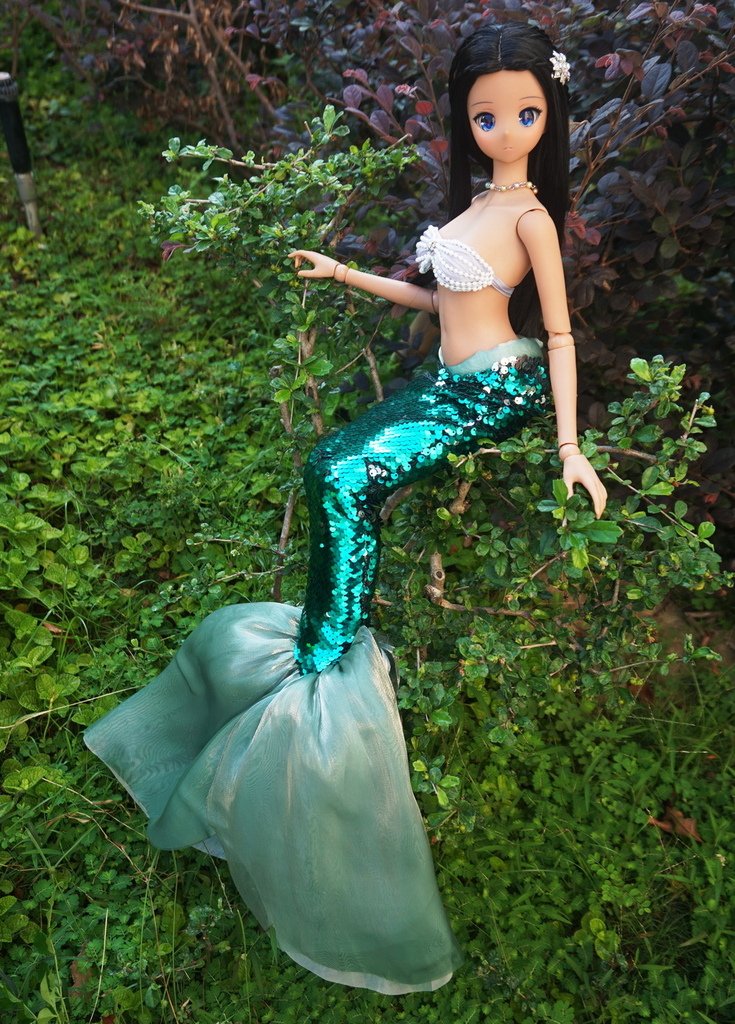 黑美人魚