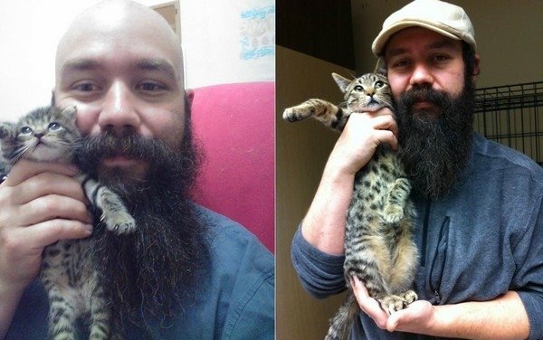 救援時不到巴掌大小　大叔用長鬍子紀錄貓咪成長史
