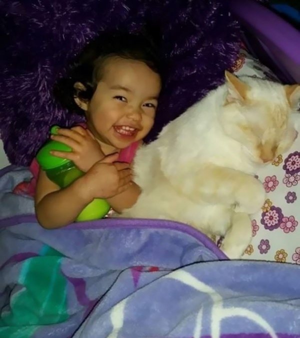 睡在一起的貓姊妹   說好要一起長大唷