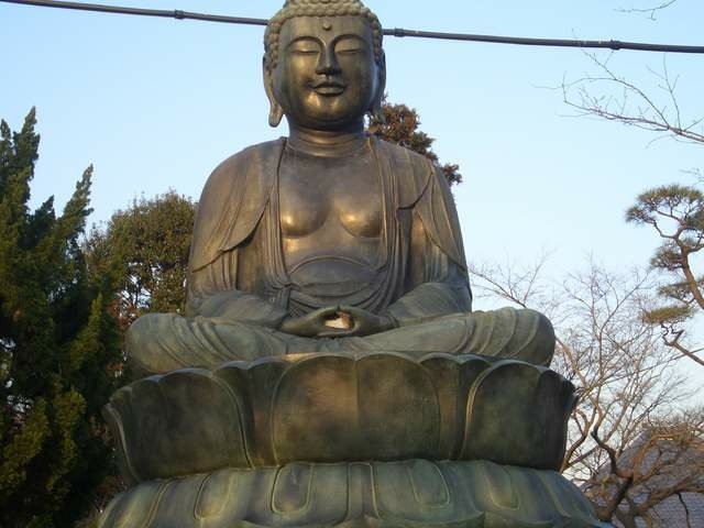 在大佛手裡睡覺的貓