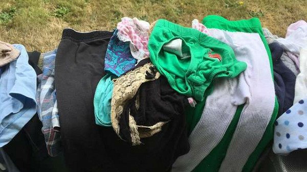 喵偷遍鄰居家「衣服堆成山」