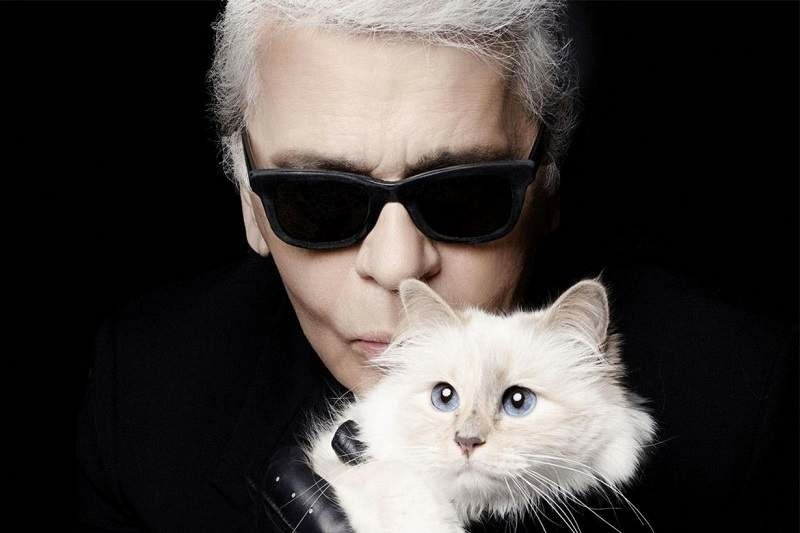 史上最富有的貓《Choupette》