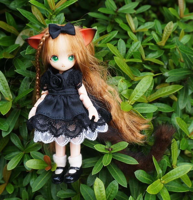 小貓女的午茶時光