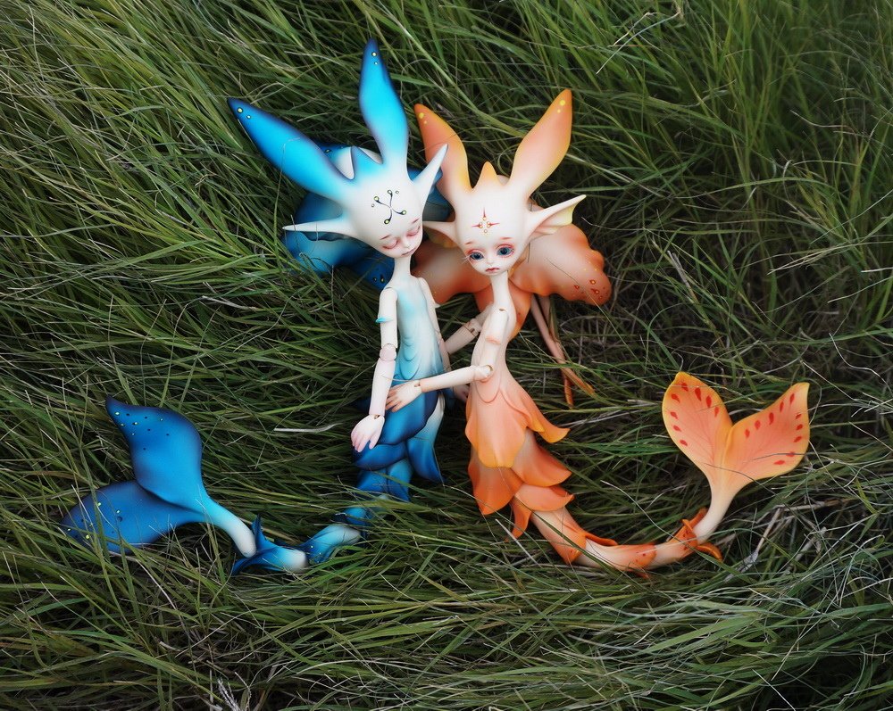 草茵中的花魚